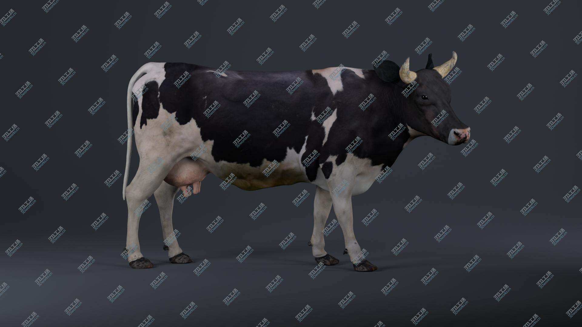 images/goods_img/202104093/Holstein Cow 3D model/1.jpg